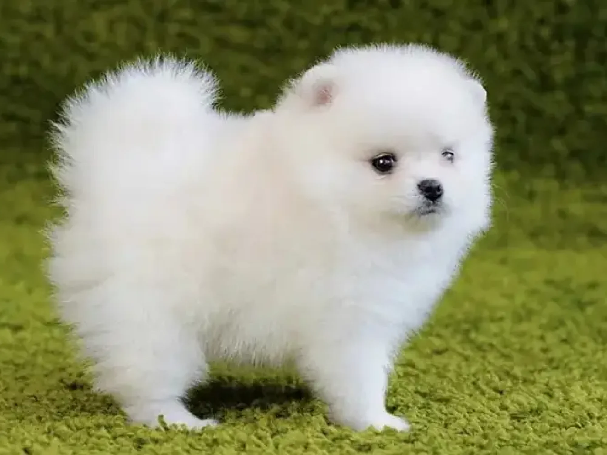 641623453-800x600-1.webp