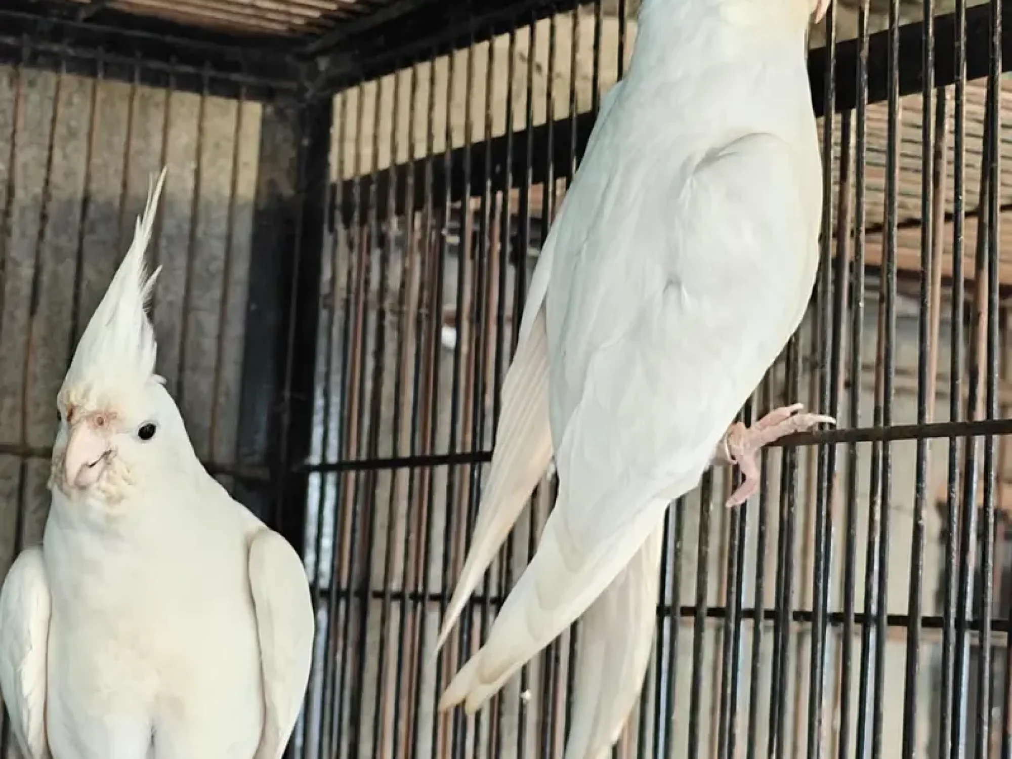 641660091-800x600-1.webp